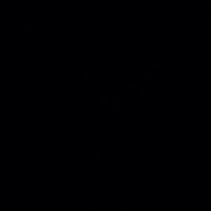 Meet your Posher, Lillian